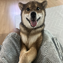 ZI존이윤수