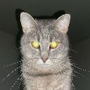 Patuljak