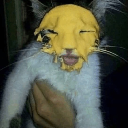 Quesito