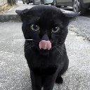 Black Cat