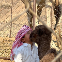 عجيم