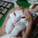 RIFKY