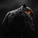 Tai lung