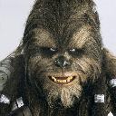 Bald Wookie