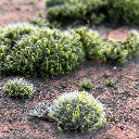 Vingt /coeurs's avatar