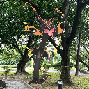 lord221662523