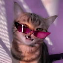 P A P O Y Y