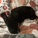 Lucuś i hienuś