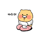 Pgmy Shrew_손땃쥐