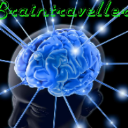 Braintraveller1