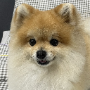 수부기ᴬᴺᴳ