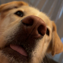 Bakersfield's avatar