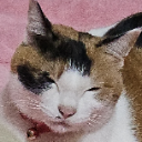 たまご