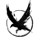 Ravenhold