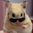 鼠條刺客