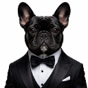 NotTheExecutive