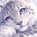 ユキヒョウたま