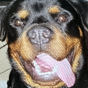 Zeus061405