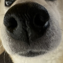 キングしょーや