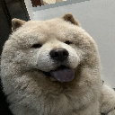 Koymiks