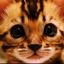 Sparta Dalda's avatar