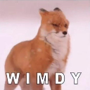 Lil Windy