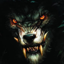 vieux loup
