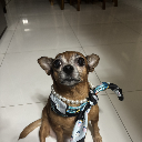 PrincessGroot