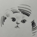 Tiny拉普達