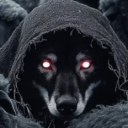 ACHKUT