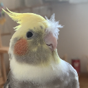 めいちゃむ