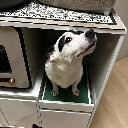 라스팡