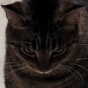 oti