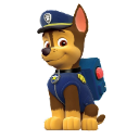 阿奇Chase