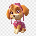 天天Skye