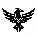 Nighthawk