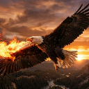 CAW