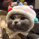 강보풀Skrrr