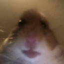 hello