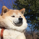 moyu