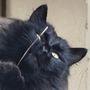manubat74