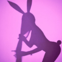 The White Rabbit