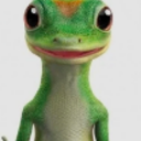 GEICO