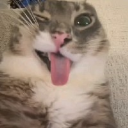 Z3n_K4i7