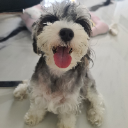 摸期林