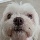 AddieBaby
