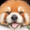 ◎うめ吉のズル休み◎
