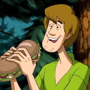 Shaggy