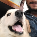 it's APPU
