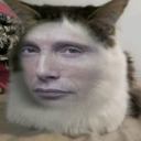 avispaculona